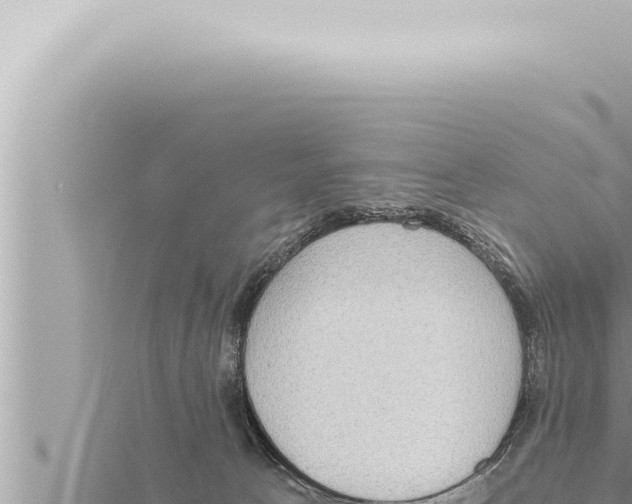 X0000115410033200912011234