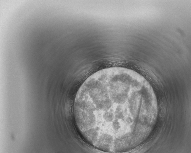 X0000115410034200912011234