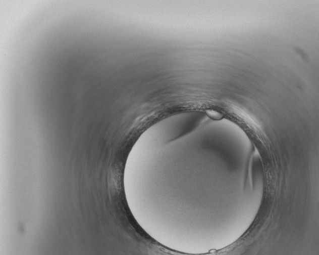 X0000115410035200912011234