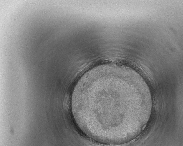 X0000115410036200912011234