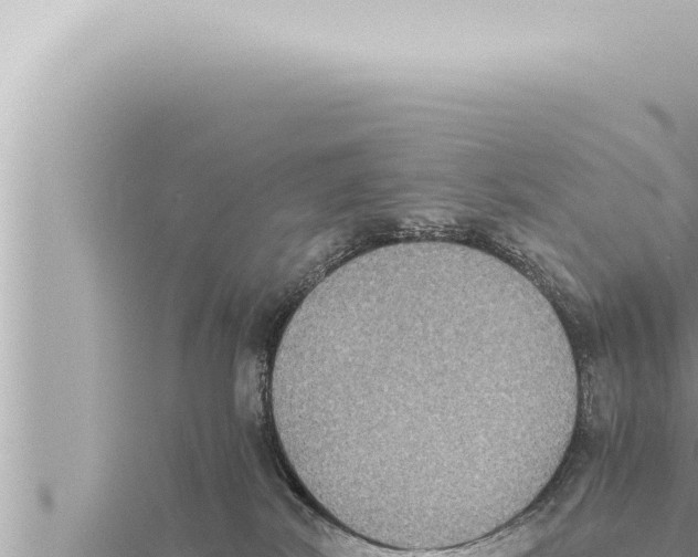 X0000115410038200912011234