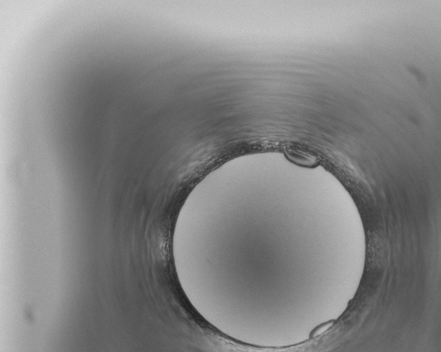 X0000115410039200912011234