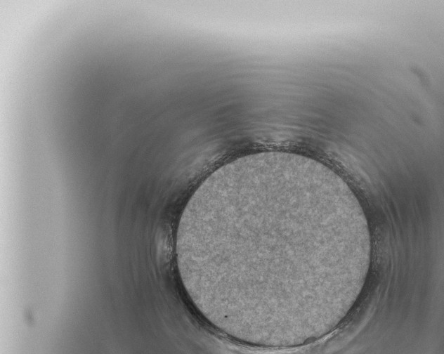 X0000115410040200912011234