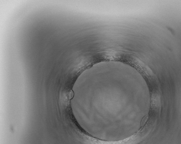 X0000115410043200912011234