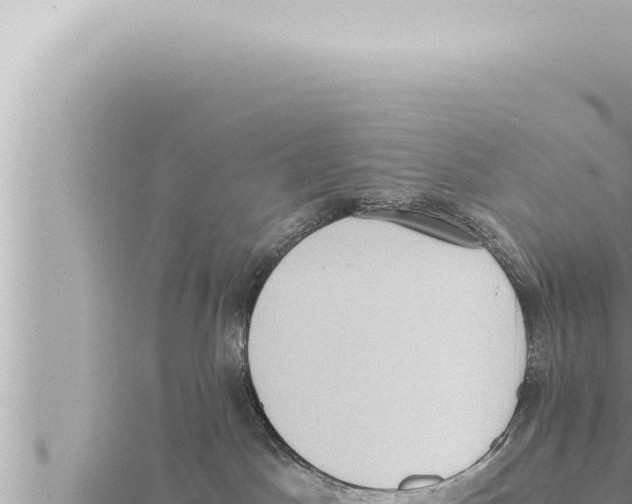 X0000115410045200912011234