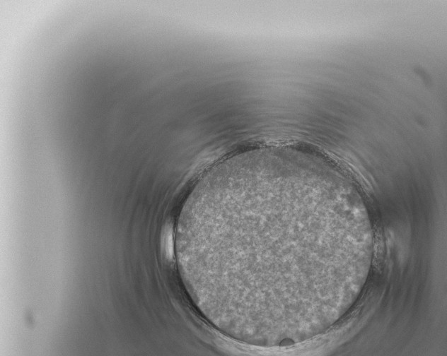 X0000115410046200912011234