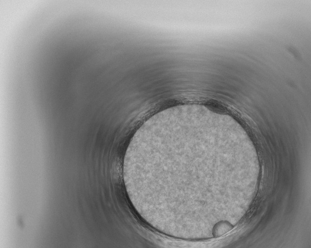 X0000115410048200912011234