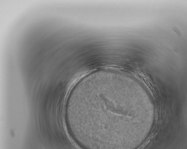 X0000115410049200912011234