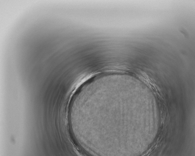 X0000115410050200912011234