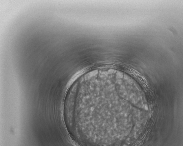 X0000115410051200912011234