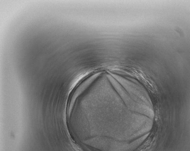 X0000115410052200912011234