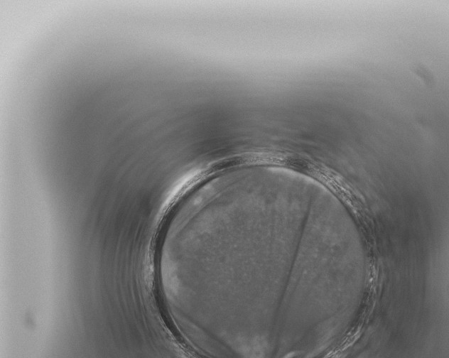 X0000115410053200912011234