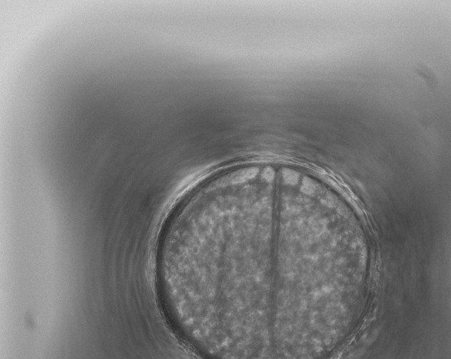 X0000115410055200912011234