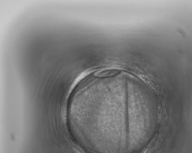 X0000115410056200912011234