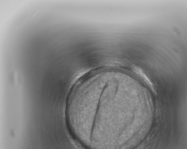 X0000115410058200912011234