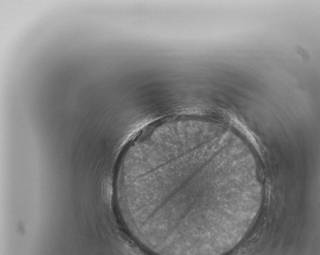 X0000115410059200912011234