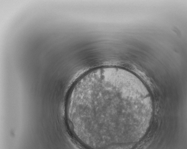 X0000115410060200912011234