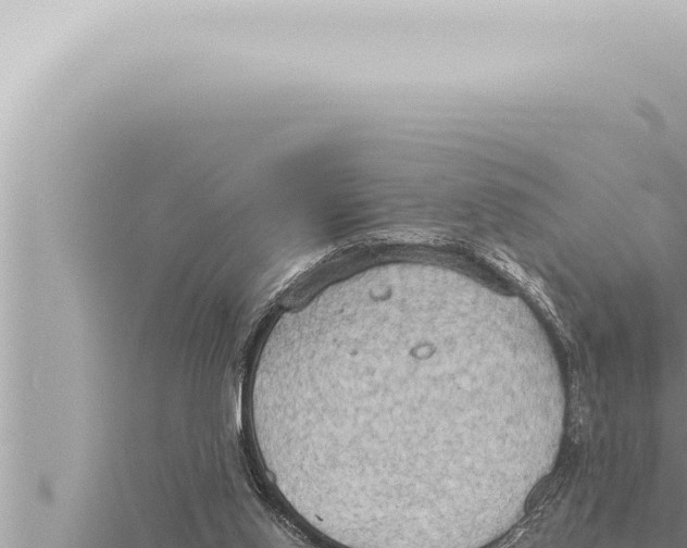 X0000115410062200912011234