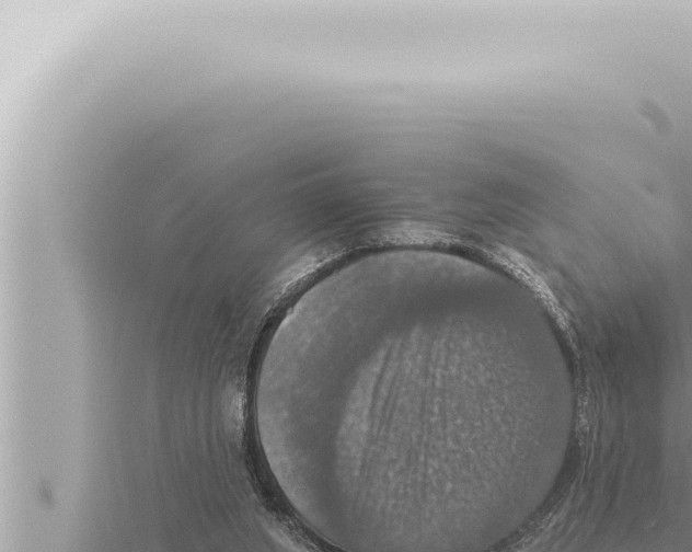 X0000115410063200912011234