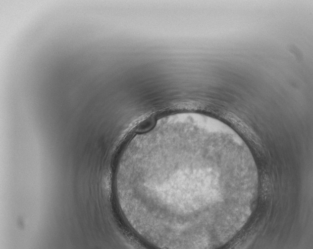 X0000115410064200912011234