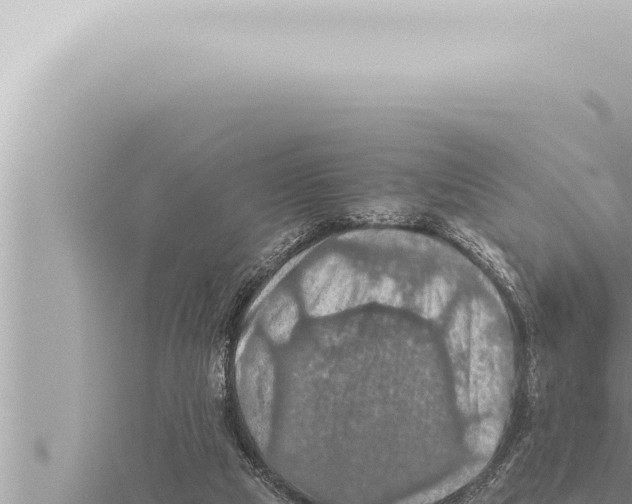 X0000115410065200912011234