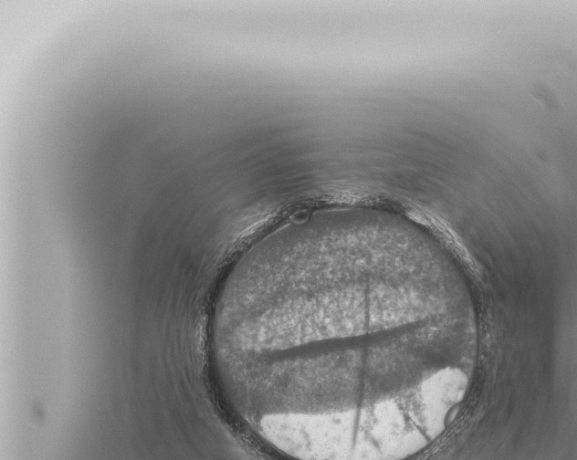 X0000115410066200912011234