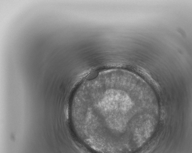 X0000115410068200912011234