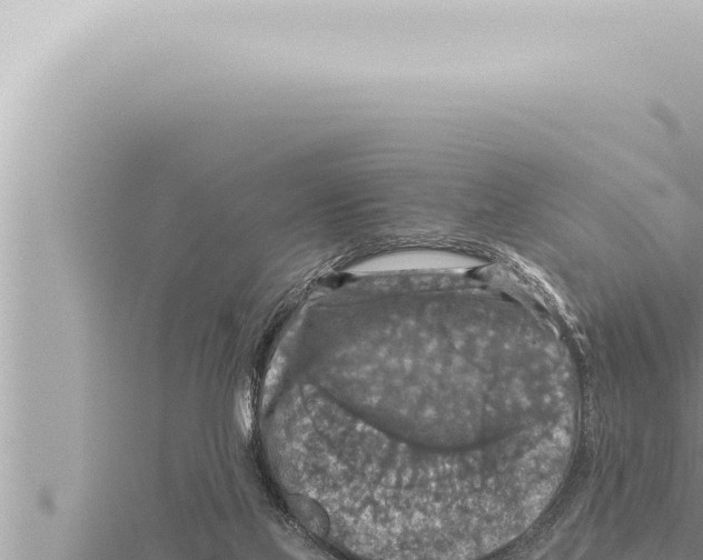 X0000115410069200912011234