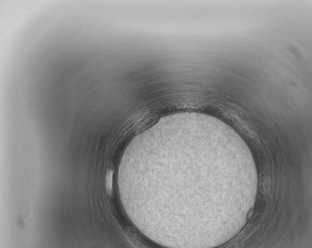 X0000115410070200912011234