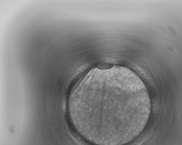 X0000115410072200912011234