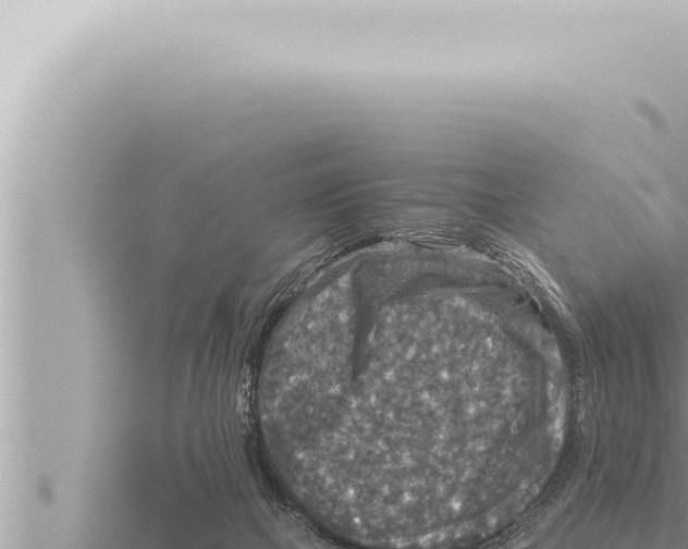 X0000115410073200912011234