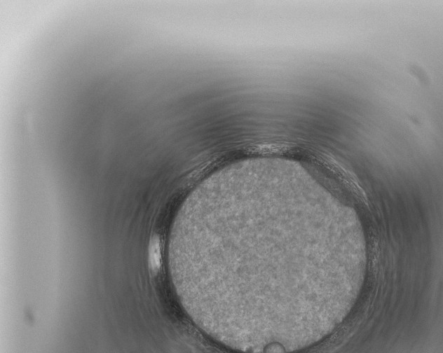 X0000115410075200912011234