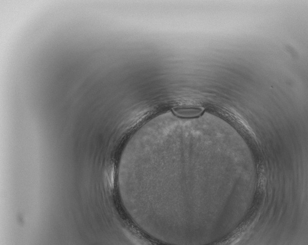 X0000115410076200912011234