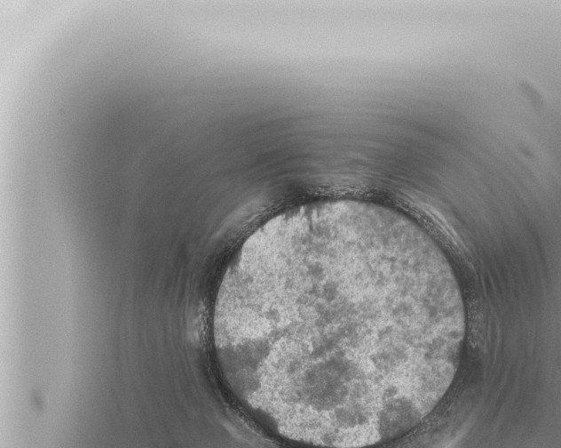 X0000115410077200912011234