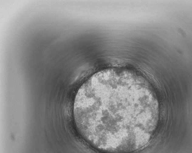 X0000115410078200912011234