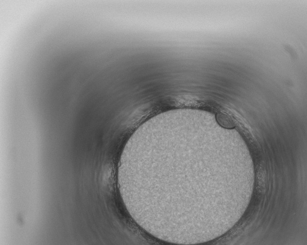 X0000115410079200912011234