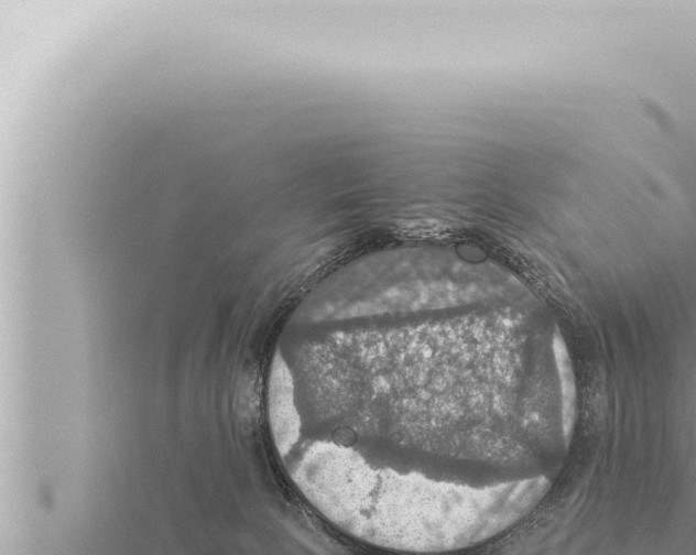 X0000115410081200912011234