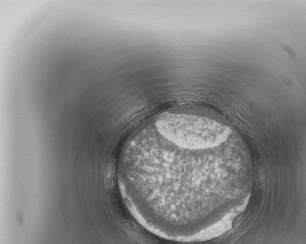 X0000115410082200912011234