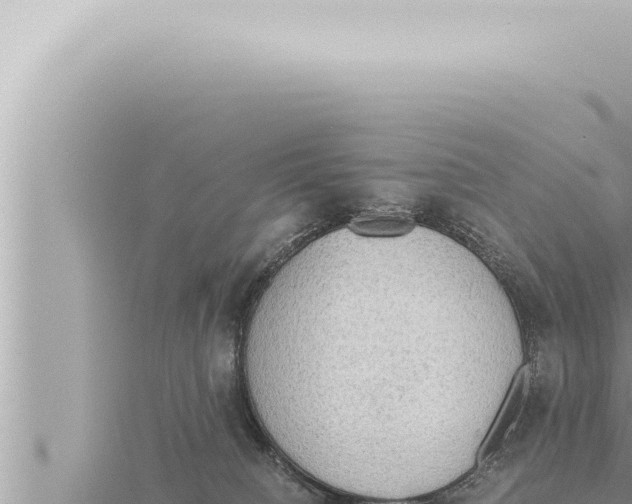 X0000115410084200912011234