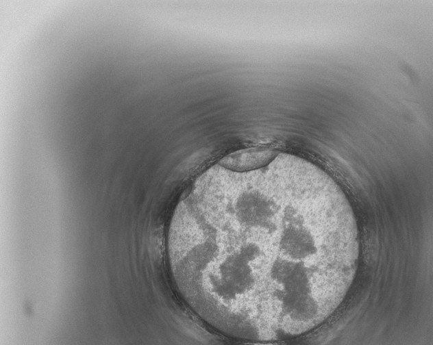 X0000115410085200912011234