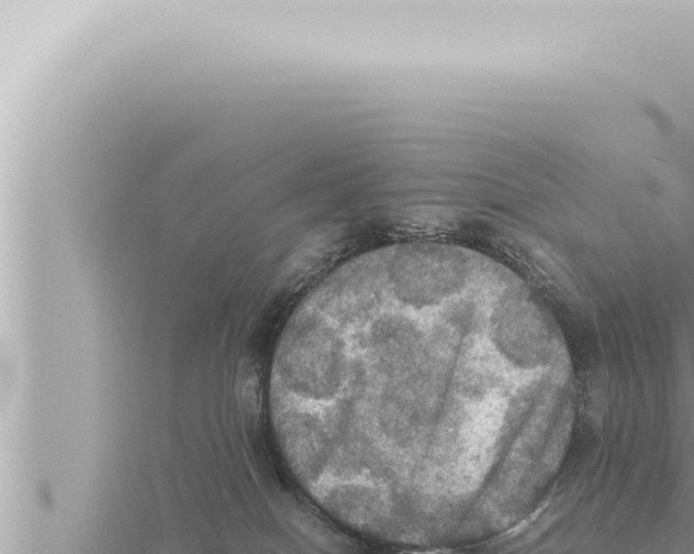 X0000115410086200912011234