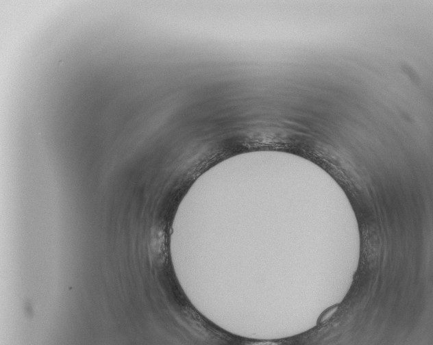 X0000115410087200912011234