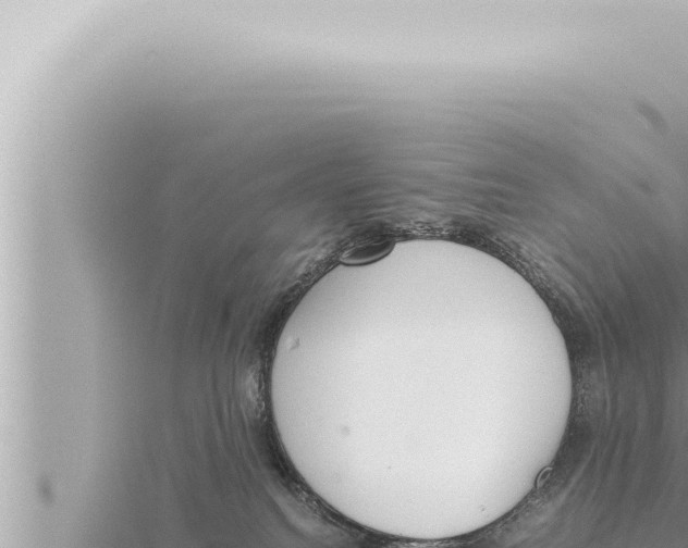 X0000115410088200912011234