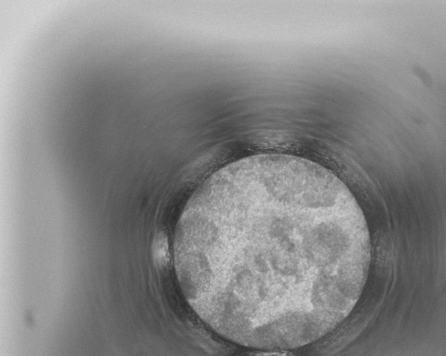 X0000115410089200912011234