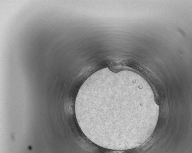 X0000115410090200912011234