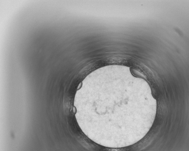 X0000115410091200912011234