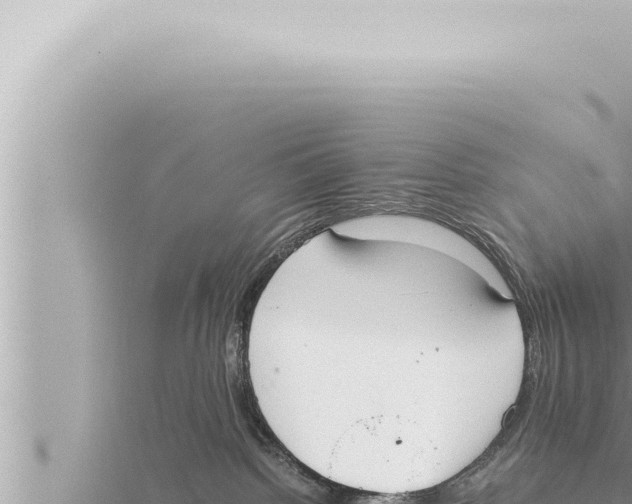 X0000115410092200912011234