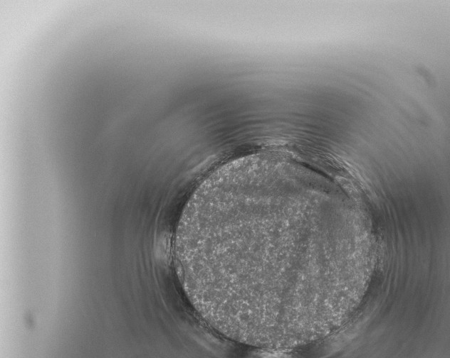 X0000115410093200912011234