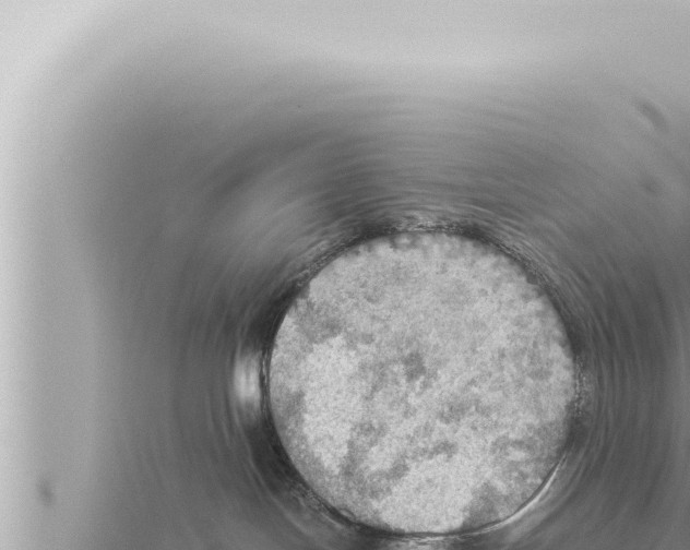 X0000115410094200912011234