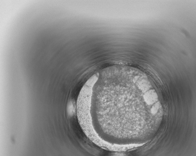 X0000115410095200912011234